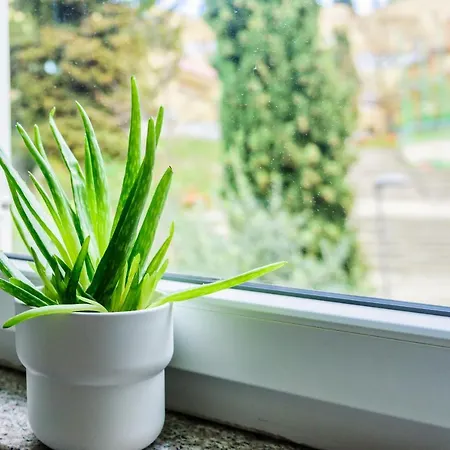 Appartement Jmj Green View *